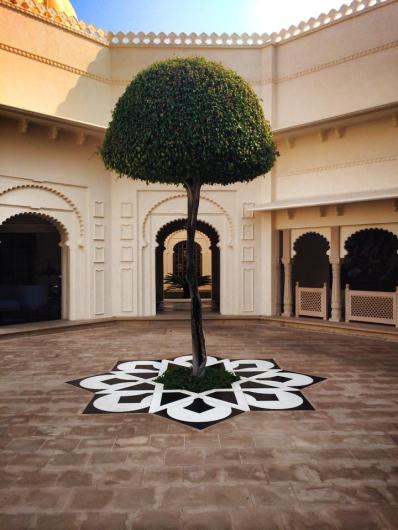 A tree on the grounds of the UdaiVilas.